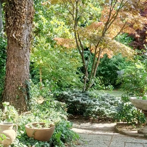 A Corte Posta B&B (34)